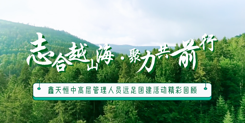 精彩回首 | 众行致远，，，，，步步为赢，，，，，一起奋进勇向前